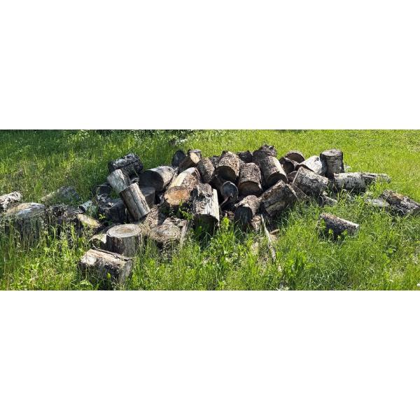 Large Collection of Firewood 