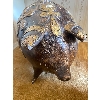 Image 3 : Large Piggy Bank 17.5L