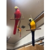 Image 2 : Three Handcrafted Hanging Parrot Decorations on Perches