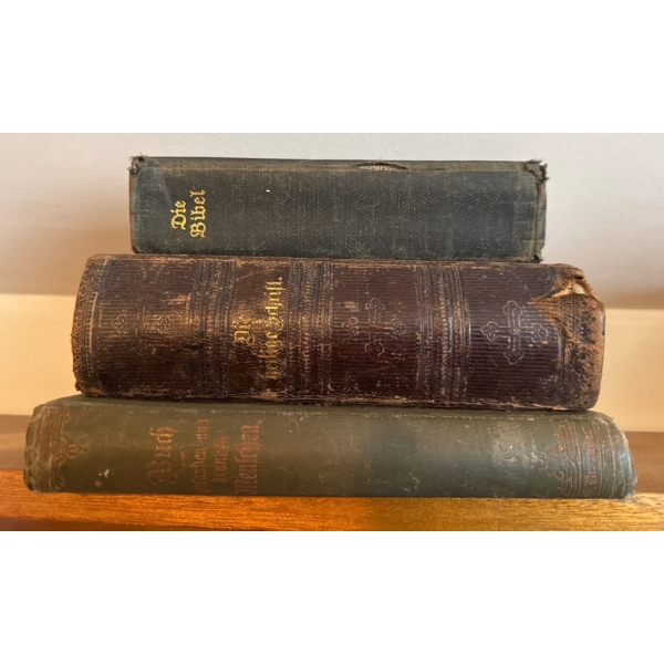 Three German Religious Bibles  Die Bibel
