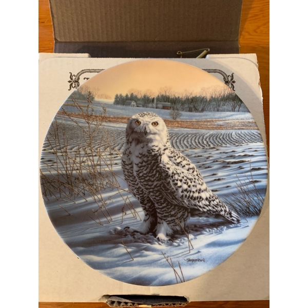 Snowy Owl with Authenticity Papers