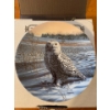 Image 1 : Snowy Owl with Authenticity Papers