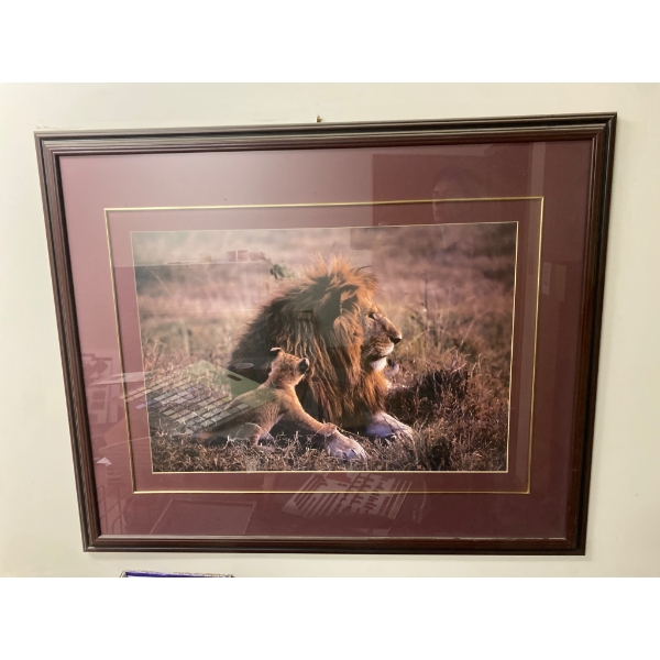 Framed Lion and Cub Wildlife Photograph with Double Matting
