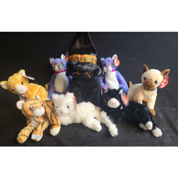 Beanie Babies- Assorted Including: Kooky, Siam, India, Booties and More!