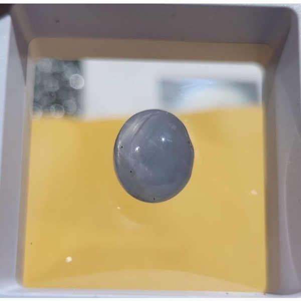 15.09 Carat Star Sapphire- Authentic with Certificate ( Estimated Value $1500)