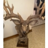 Image 3 : Wildlife Scene Point Buck, Lamp & Wall Clock