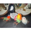 Image 3 : Modern Art - Carved Plaster Wall Plaques Decorative Birds 13T & More
