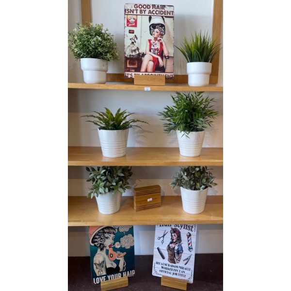 Vintage Inspired Stylist Signs 8x12 w/ Faux Plant Collection