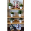 Image 1 : Vintage Inspired Stylist Signs 8x12 w/ Faux Plant Collection