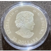 Image 3 : 2016 $20 Ski Chalet Fine Silver Coin 31.83 Grams
