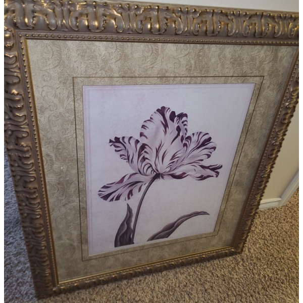 Red Parrot Tulip Print Framed Under Glass (Bombay Company) 32 X 37 