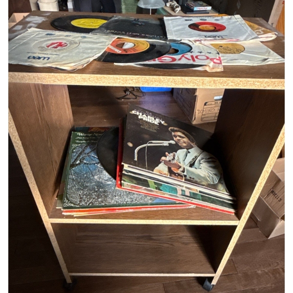 Vinyl Record Collection #9 Mystery Vinyl Record Collection w/ Shelf