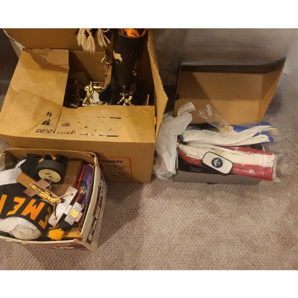 Large Assortment of Trophies, Hockey Pucks & more