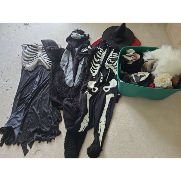 Large Selection of Halloween Costumes