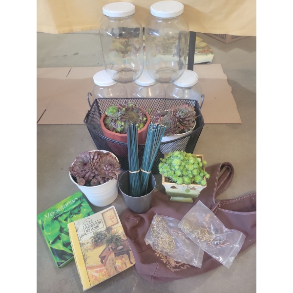 Garden Essentials - Live Succulents - Grow Books Stakes Hangers & More