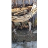 Image 4 : Set of 3 Outdoor Metal Planters 22" X 33 T