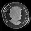 Image 2 : 2013 $100 for $100 Bison Stampede - 99.9% Fine Silver Coin - #3