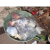 Image 8 : Large Assortment of Crafting: Birds, Butterflies, Pine Cones and More!