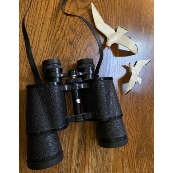 Fisher - Dietz 10x15 Vintage Binoculars