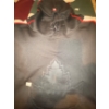 Image 2 : Assorted Vintage Sweaters Sweat Shirts & Outerware Size XL