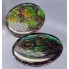 Image 3 : Ammolite Pair (6.5 ct total, 12×10×2.3 mm)