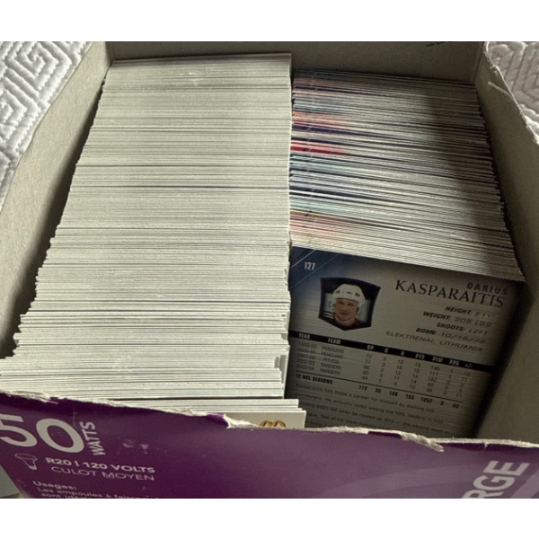 Mystery Box Of NHL Hockey Trading Cards  Collectible Sports Card Box Surprise!!!