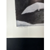 Image 3 : Alex Halliburton Down from the Tundra 16Tx22W, Silent Sentinel 22Tx16W, The Intrusion 14.5Tx22W