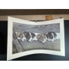 Image 4 : Alex Halliburton 3 Copies of Campbell River Collies 17.5Tx28.5W