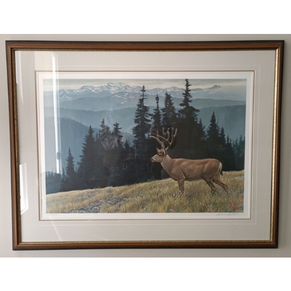 Robert Bateman's "Black Tailed Deer In The Olympics" Art Print  471/950  39"x 31" tall  