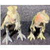 Image 3 : Toy Dinosaurs 
