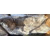 Image 1 : Half A Sectional Couch w/ Futon Mattress ++ Iron & Ironing Board