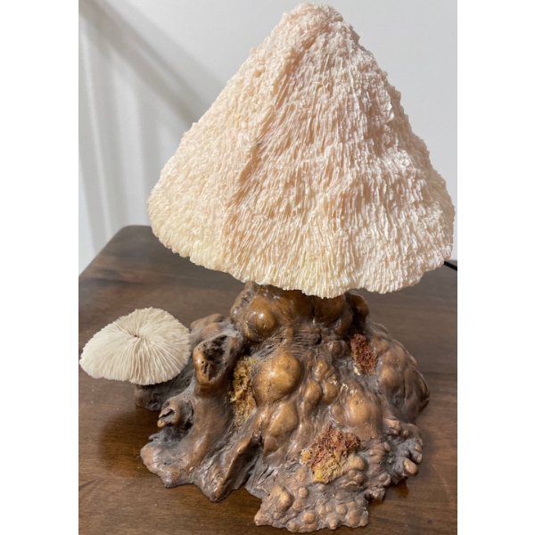Decorative Mushroon Lamp 11T Fungi Zoomies Light