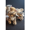 Image 4 : Beanie Babies Felines: Assorted Housecats, Tigers and Lion
