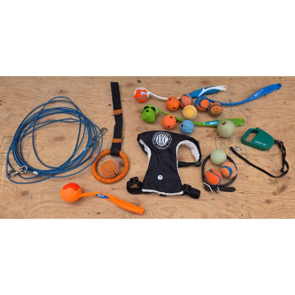 Dog Toys, Leashes, and Harnesses Featuring AKC Harness
