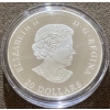 Image 3 : 2016 $20 Ski Chalet Fine Silver Coin 31.83 Grams
