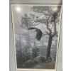 Image 3 : Numb. Print 21/950 "Shrouded Forest- Bald Eagle", Artist Daniel Smith, 32 X 43.5 Framed Under Glass 