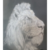 Image 2 : Lion Drawing 23 X 25 Framed Under Glass 