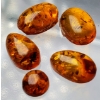 Image 2 :  Amber Set (8 ct total, largest 13×10 mm)