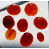 Image 3 : Carnelian Parcel (35.9 ct total, largest 12×10×6 mm)