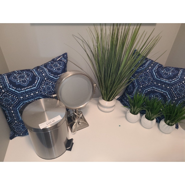 Small Trashcan 11 h,  Conair Mirror 16 h, Artificial Plants- Tallest: 26 h, Two Cushions 19 X 19