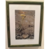 Image 1 : Ian Thompson Art - Framed Photograph Print