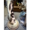 Image 5 : 2 ornate wood lamps handmade electric has been pulled and ready for the lights