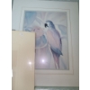 Image 3 : Pair of Parrot Prints 23 X 27 and Matted Clip Art of Fish and Birds 16.5 X 18