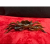 Image 1 : Wood Carved Crab, Opens - 19W 4H