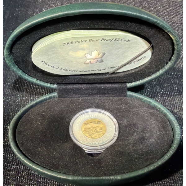 2000 Polar Bear Proof Coin 24K Gold Plated Core 92.5% Silver 8.83 Grams