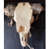 Image 3 : Wall Hanging Collection - Horned Skull Red Ryder Poster & More