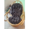 Image 1 : Rattan Chair with Cushion (Rocks and Swivels) 28 W, 24 D, 39 T