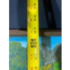 Image 5 : F. Latortue "Folk" Painting- Jungle Scene, Vivid Trees ( Measurements in Pictures)