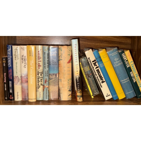 Assorted Hard Cover Books - The Concubine Norah Lofts Warwycks Woman & More