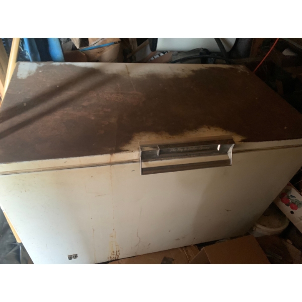 Large Freezer 51"L 27"W 36"T